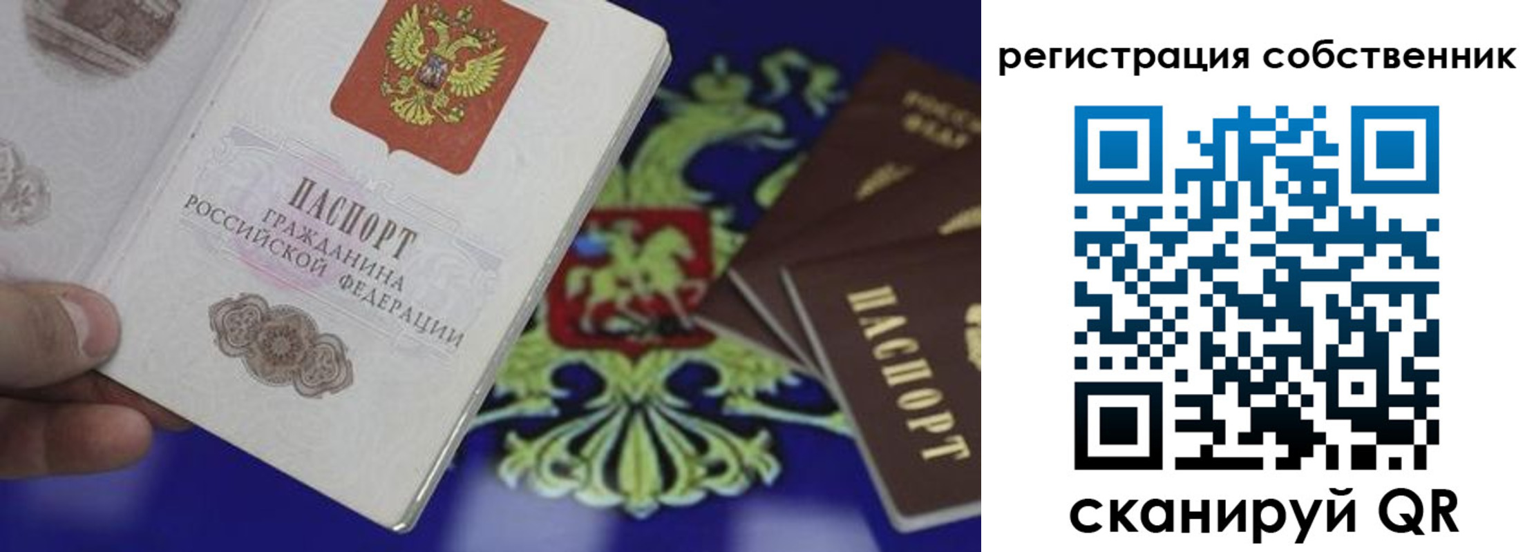 временная регистрация надежно в Опочке